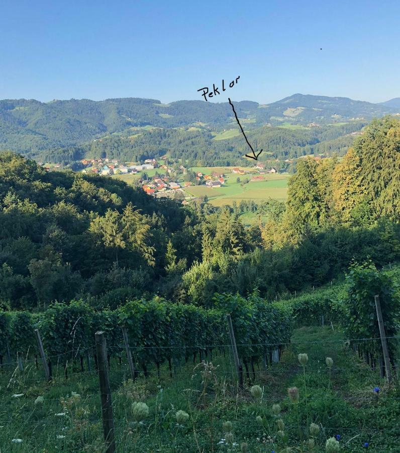 Ferienwohnung Peklar Arnfels エクステリア 写真
